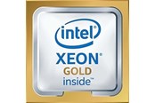 CPU - Intel Xeon Gold 5215 - Cascade Lake - Tray CPU - 10 Kerne - 2.5 GHz - Intel LGA3647 - Bulk (ohne Kühler) - CD8069504214002