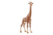 Schleich - Schleich Giraffe female - 4005086147508