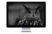Systemzubehör - Natec OWL - NFP-1478