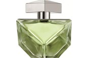 Parfüm und Düfte - Britney Spears Believe EDP - 100ml - 719346117722