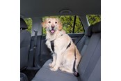 Hunde - Trixie Car Harness Safety Belt M 50-70cm/25 mm Stomach Circum 50-70cm - TX1291