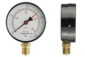 Messgeräte - Erik Færgemann Hydro/thermo gauge 1/2xø80 0-10mvs/20-120°c - 481073-014