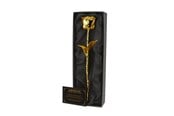 Gadget - Mikamax 24K Golden Rose - Black Box - 03261.GO