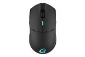 Maus - QPAD DX-900 - Maus (Schwarz) - 9J.Q4C88.001