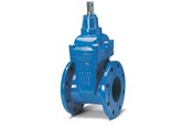 Wasserversorgungsprodukte - Avk Gate valve avk 80mm wirh flanges - 06080308146499