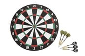 Gartenspiele - Dartboard with 6 darts - 93132