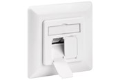 Netzwerk - Kabel - Pro CAT 6a wall plate flush mounting white - 2x RJ45 - Weiß - 4040849687211