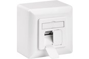 Zubehör (Halterungen, Steckdosen etc.) - Pro CAT 6 universal wall plate incl. on-wall mounting - 4040849682445