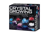 Interaktives Spielzeug (Ardunio und ähnliche) - 4M Crystal growing experimental kit - 4M-3915