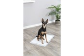 Hunde - Jolly Paw Hygiene-Welpenunterlagen Puppy Pads 40x60cm (7er-Pack) - JP26000