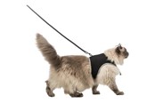 Katzen - Trixie Softgeschirr XXL mit Leine 36–54 cm, schwarz - TX41895