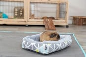 Nagetiere - Trixie Kuschelbett Sunny für Kleintiere Meerschweinchen Kleine Kaninchen - TX62802