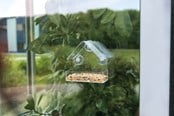 Vogelkäfige, Vogelhäuser & Zubehör - Trixie Futterhaus für Fensterscheibe 225ml - TX55610