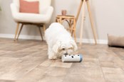 Hunde - Trixie Hundeaktivitätsspielzeug Snack-Rolle - TX32020