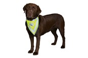 Hunde - Trixie Sicherheits-Halstuch für Hunde S-M 29-42cm - TX30122