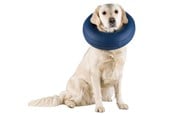 Hunde - Trixie Protective Collar Inflatable M 40-45cm - TX19546