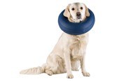 Hunde - Trixie Protective Collar Inflatable XS 20-24cm - TX19541