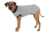 Hunde - Trixie Schutzbody für Hunde Größe: L Rückenlänge: 55cm - TX19537