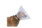 Hunde - Trixie Protective collar plastic L–XL: 47–57 cm/30 cm - TX19486
