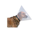 Hunde - Trixie Protective collar plastic XS–S: 22–25 cm/10 cm - TX19481