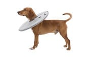 Hunde - Trixie Protective collar polyester/foam S: 30–34 cm/19.5 cm grey - TX19423