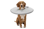 Hunde - Trixie Protective collar polyester/foam XS: 23–27 cm/13 cm grey - TX19422