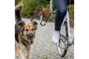 Hunde - Trixie Biker-Set für sicheres Radfahren mit dem Hund U-förmig Größe M-XL - TX12860