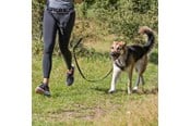 Hunde - Trixie Bauchgurt mit Leine für mittelgroße und große Hunde - TX12766