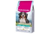 Hunde - Eukanuba Special Care Adult Dogs with Sensitive Joints – dry dog food – 12 kg - DLPEUKKAS0062