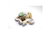 Fische - Dohse Sea Shells Set M 10 pcs. - AT40222