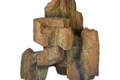 Fische - Dohse Fossil Rock 1 14x8x15 cm - AT40115