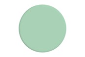 Handys - Anderes Zubehör - PopSockets Basic Grip Pastel Mint - 806117