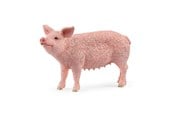Schleich - Schleich Schwein - 13933