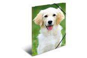 Mappen und Clipboards - HERMA Elasticated folder A3 PP Dogs - 7144