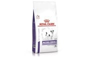 Hunde - Royal Canin Mature Consult (Small Dogs) 3.5kg - 3182550782005