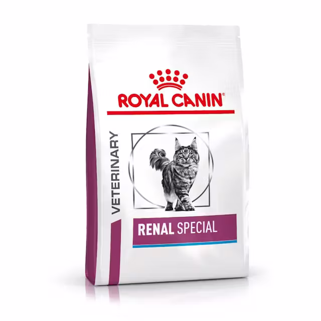 Katzen - Royal Canin Renal Special Dry Food for Cats 400g - 3182550917049