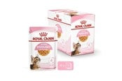 Katzen - Royal Canin Kitten Sterilised Jelly 12 × 85 g - 9003579007167