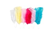 Kunst & Handwerk Ausstattung - Creativ Company Feathers in Various Colors 11-17cm 18pcs. - 518490