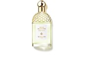 Parfüm und Düfte - Guerlain Aqua Allegoria Herba Fresca Eau de Toilette 125ml - P-P0-404-02