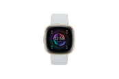 Smartwatches, Pulsuhren, Sportuhren & Schrittzähler - Fitbit Sense 2 Blue Mist/Soft Gold - FB521GLBM