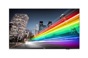 Digital Signage & Hotel - Philips 43BFL2214 B-Line Professional Series - 43" LED-backlit LCD TV - 4K - for digital signage - 43BFL2214/12