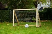 Fußball und Ballspiele - Home Goal Classic Mini - 302101