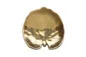 Tischgedeck - Costa Nova Plate water lily pad Riviera 18 x 17 cm Golden Ceramic - 22710