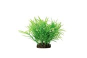 Fische - AQUAEL Decorative plant 10cm - 975218