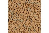 Essen - SERA raffy P Nature 1000ml - 914577