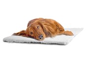 Hunde - Dogman Mat Malva - 810060
