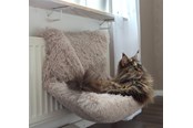 Katzen - Dogman Kuscheliges Heizkörperbett für Katzen - 804961