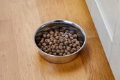 Hunde - Dogman Heavy Edelstahl-Futternapf Metall 800ml - 369629