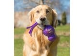 Hunde - KONG Hundespielzeug Wubba Assorted Colors Large 32cm - 340461