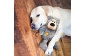 Hunde - KONG Hundespielzeug Wild Knots Bear Verschiedene Farben S/M 17cm - 340491
